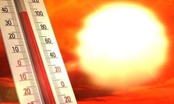Almanya’da aşırı sıcaklardan 5 bin 120 kişi öldü