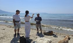 Ege kıyılarında alarm: 3 caretta caretta sahile vurdu