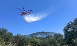 Çanakkale'de korkutan orman yangını