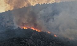 Kaş'taki orman yangınına müdahale sürüyor