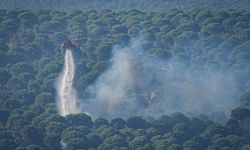 Gömeç'i küle çeviren yangında 2 tutuklama