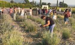 Balıkesir'de aromaterapi şöleni başladı