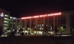 Ohıra yıldırım düştü: Büyükbaş hayvanlar telef oldu!