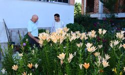 Avrupa'dan getirdiği tohumlarla çiçek cenneti oluşturdu