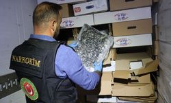 Tavuk kolilerinden 526 kilo esrar çıktı!