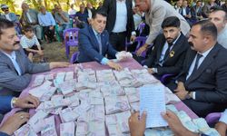 Düğünde 35 koyun kesildi, 6 milyon lira takı takıldı!