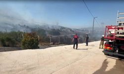 Ormanlık alanda yangın: Fabrikalar tahliye edildi!