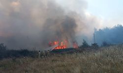 Muğla'daki orman yangınında 1 gözaltı