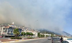 Balıkesir Edremit'te yangın: 210 ev tahliye edildi