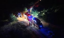 Bir kuş çam ormanlarını alevlerin eşiğine getirdi