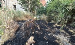 Bolu'da korkutan yangın