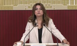 DEM Partili Koçyiğit: Çerçeve yasa sonuç değil, başlangıç olmalı
