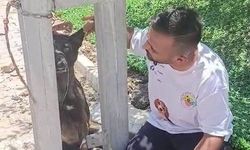 Hatay'da insanlık dışı olay