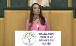 Tülay Hatimoğulları'ndan 'çerçeve yasa' çağrı: İlk düğmeyi doğru iliklemeliyiz
