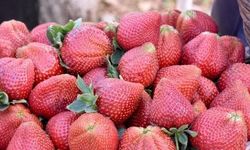 Markette zam şampiyonu çilek oldu
