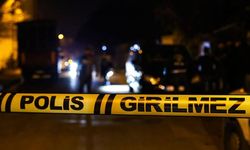 Kayınbiraderlerinin birini silahla vurdu, diğerini otomobille ezdi