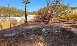 Marmaris'te zirai alan yangını kontrol altında