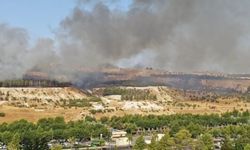 Şanlıurfa'da ormanlık alanda korkutan yangın