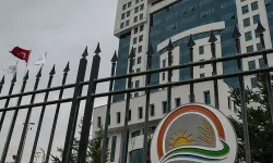 Tarım ve Orman Bakanlığı'ndan 'çekirge istilası' açıklaması