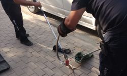 Bursa'da araç motorunda yılan paniği