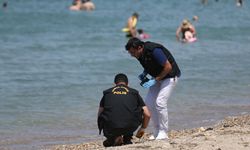 Plajda mühimmat bulundu!