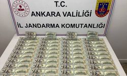 Sahte para operasyonunda 2 şüpheli yakalandı