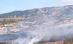 Balıkesir'in Sındırgı ilçesindeki orman yangınına müdahale ediliyor