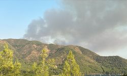 Marmaris'teki orman yangınına havadan ve karadan yoğun müdahale
