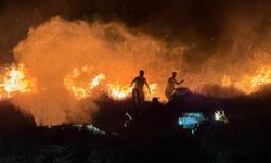 Fethiye'de orman yangını korkutuyor