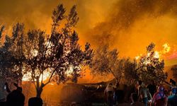Antalya'da orman yangını başladı!