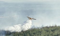 Çanakkale Bayramiç'te orman yangını