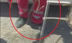 Yılanlar arabalara dadandı!