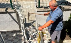 Yazlık sitede yılan alarmı