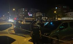 Yol kenarındaki araçta bir ölü, bir ağır yaralı