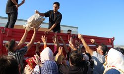 6 ton ücretsiz patatese hücum ettiler!
