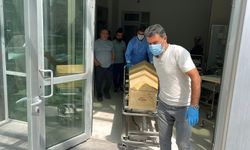 Kene yine can aldı!