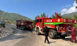 Antalya'nın iki ilçesinde yangın başladı!