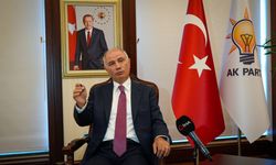 Efkan Ala: 100 yıllık bir 25 yıl yaşadık!