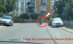 Uyuşturucu tacirlerine operasyon!