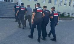 Köpeklerin kavgasına sinirlendi, çobanı öldürdü