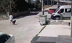 Köpeğini gezdirirken başka bir köpeğin saldırısına uğradı