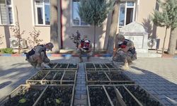 Römorkun gizli bölmesinden binlerce saka kuşu çıktı