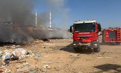 'Ege'nin incisi' İzmir'in göbeğinde çöplük yangını