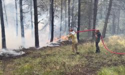 Kastamonu’da çıkan orman yangını kontrol altına alındı