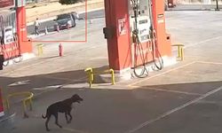2 ölü ve 5 yaralının olduğu silahlı çatışma kamerada!