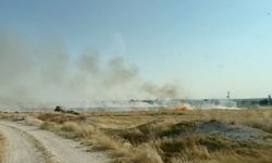 Elektrik tellerine çarpan kuş otluk alanda yangın çıkardı