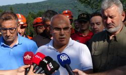 Giresun Valisi'nden 'hava aracı' açıklaması