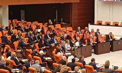 Çerçeve Yasa oylaması: Kimler katıldı, kimler katılmadı?