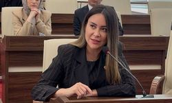 CHP meclis üyesi hakkında tutuklama talebi