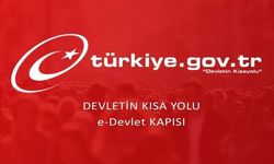 Yapay zeka okuryazarlığı e-Devlet'ten ölçülecek